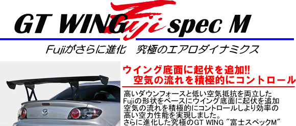 GT WING spec M [Fujiがさらに進化　究極のエアロダイナミクス]　【ウイング底面に起伏を追加!!空気の流れを積極的にコントロール】高いダウンフォースと低い空気抵抗を両立したFujiの形状をベースにウイング底面に起伏を追加空気の流れを積極的にコントロールし、より効率の高い空力性能を実現しました。さらに進化した究極のGT WING